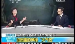 濮阳市最新爆料事件新闻,真相揭开，震惊全城！